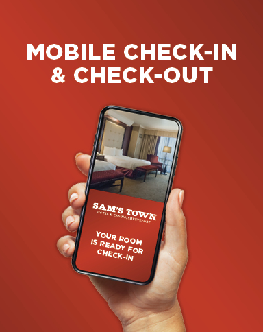 mobile check in image